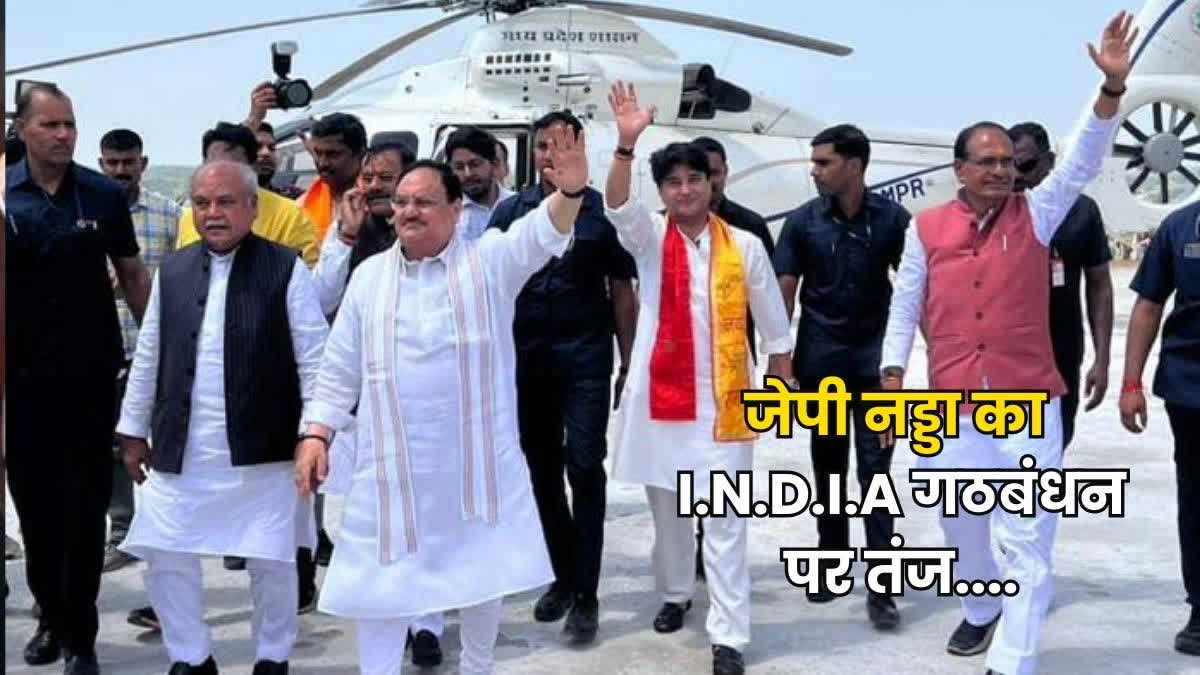 JP Nadda in Madhya Pradesh News