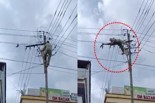 Lineman Rescue Pigeon Viral Video