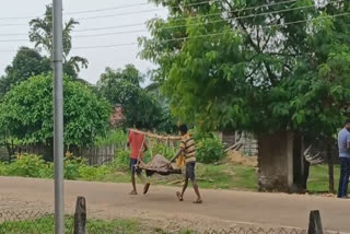 Girl Carried On Cot