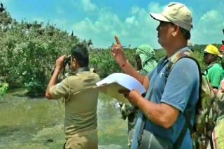 bird census begins