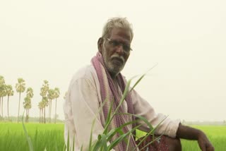 Andhra Pradesh Tenant Farmers in Dire Situation