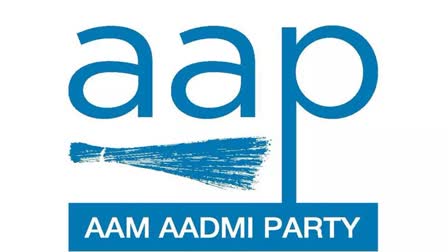 aap in haryana