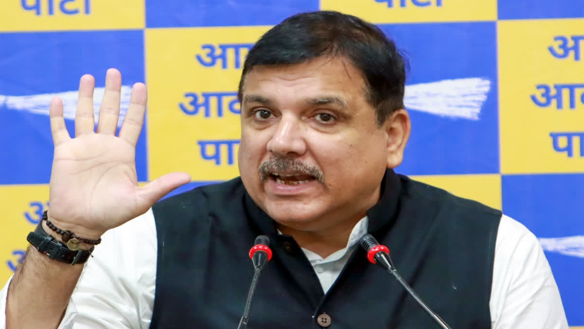 Welcome Rahul Gandhi's 'Interest' in Congress-AAP Alliance in Haryana: Sanjay Singh