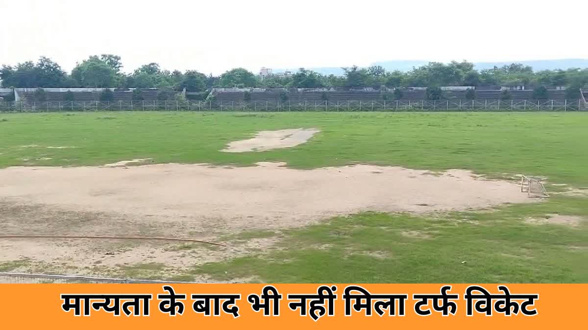 Turf wicket Demand in korba