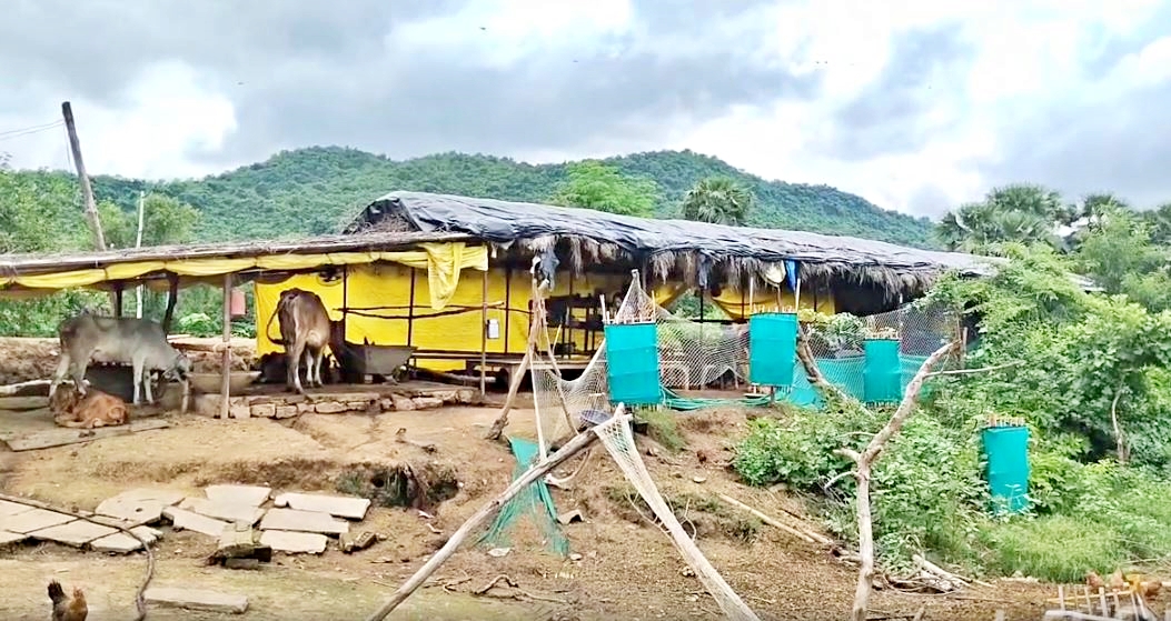 Organic Farming In Kaimur