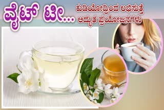 WHITE TEA HEALTH BENEFITS  WHITE TEA BENEFITS FOR SKIN  IS WHITE TEA HEALTHY FOR YOU  WHITE TEA BENEFITS FOR WOMEN