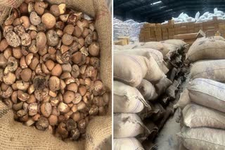 Gujarat: 53 Tonnes Of Illegal Betel Nuts Worth Rs 3 Cr Seized At Mundra Port