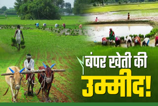 paddy-has-been-planted-in-16-lakh-hectares-in-ranchi