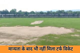 Turf wicket Demand in korba