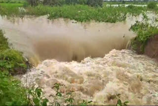 PEDDA CHERUVU WATER LEAK IN MEDAK