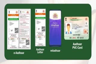 Aadhaar Card File Image