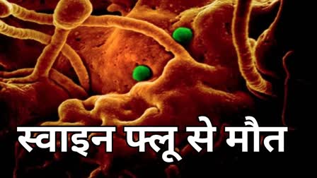 Swine Flu in Bhilai Durg