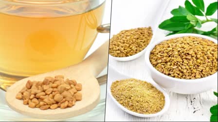 Fenugreek Seed Water Benefits