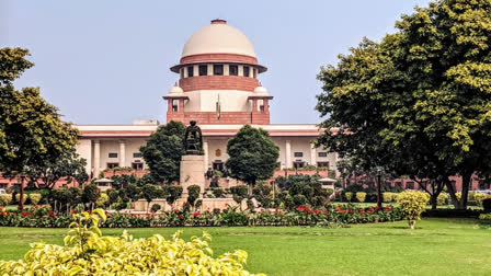 SC Moved by Prolonged Fight of Woman Against Divorce, Says Judicial System "Grossly Injudicious" to Her