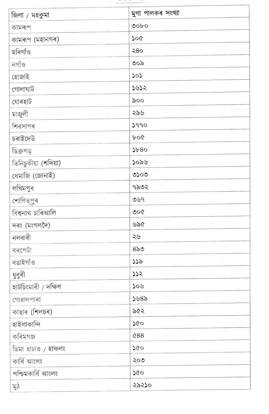 Assam Muga Farmers Condition