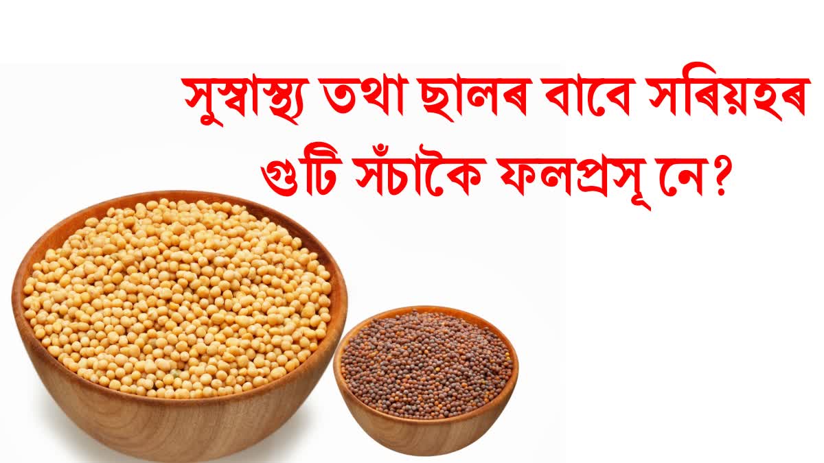 Mustard seeds are beneficial not only for health but also for skin, know what its other benefits