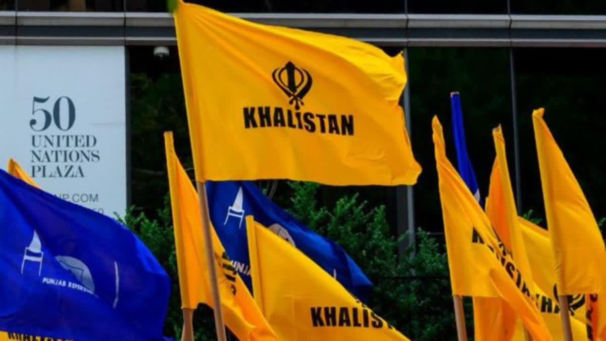 Khalistan Supporters