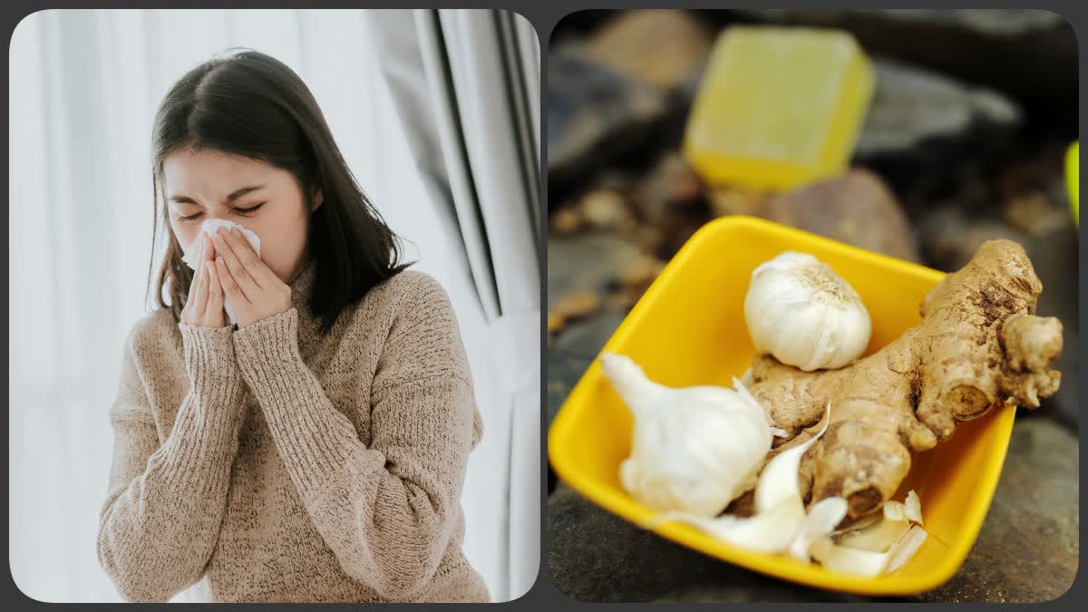 Foods For Sinus Relief