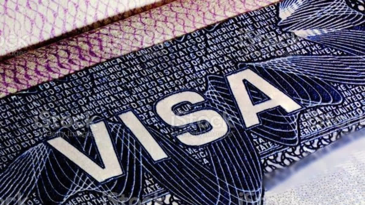 Visa invest in AI