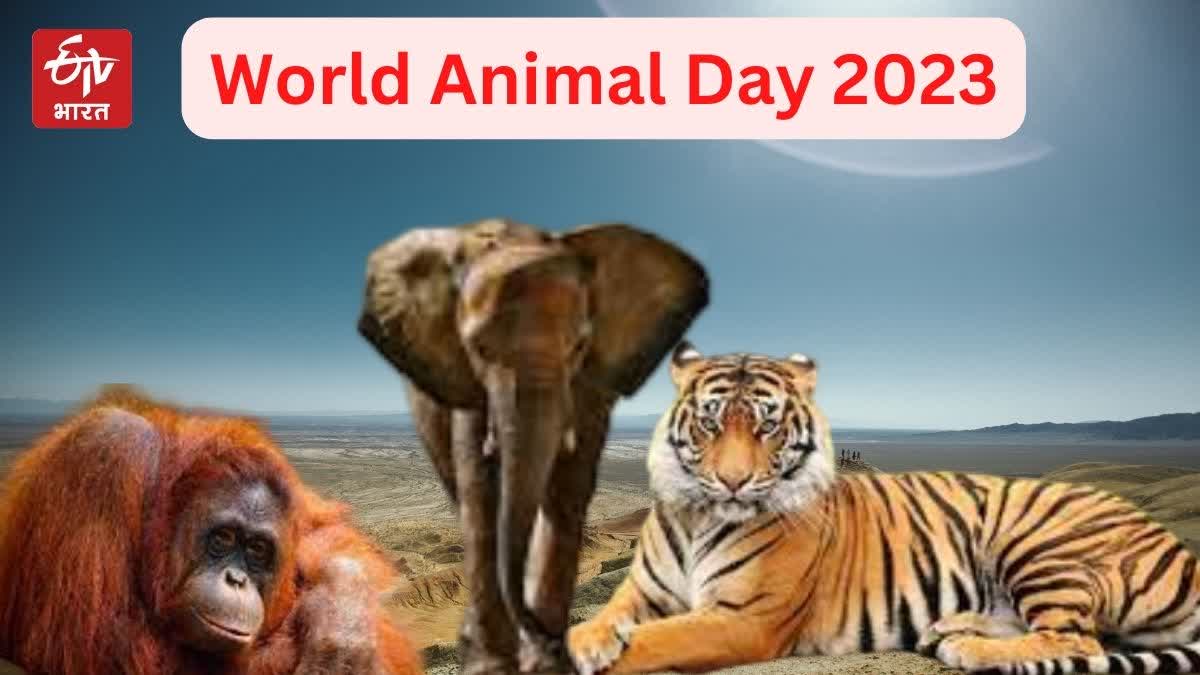 World Animal Day