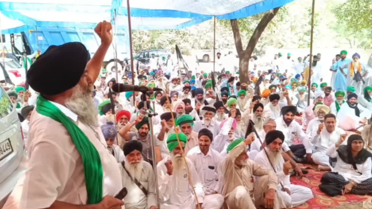 farmers protested against the central government with black turban and flags In Mansa