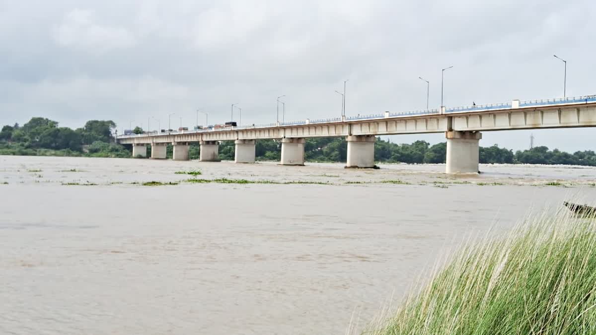 ক্ষোভে যেন ফুঁসছে দামোদর