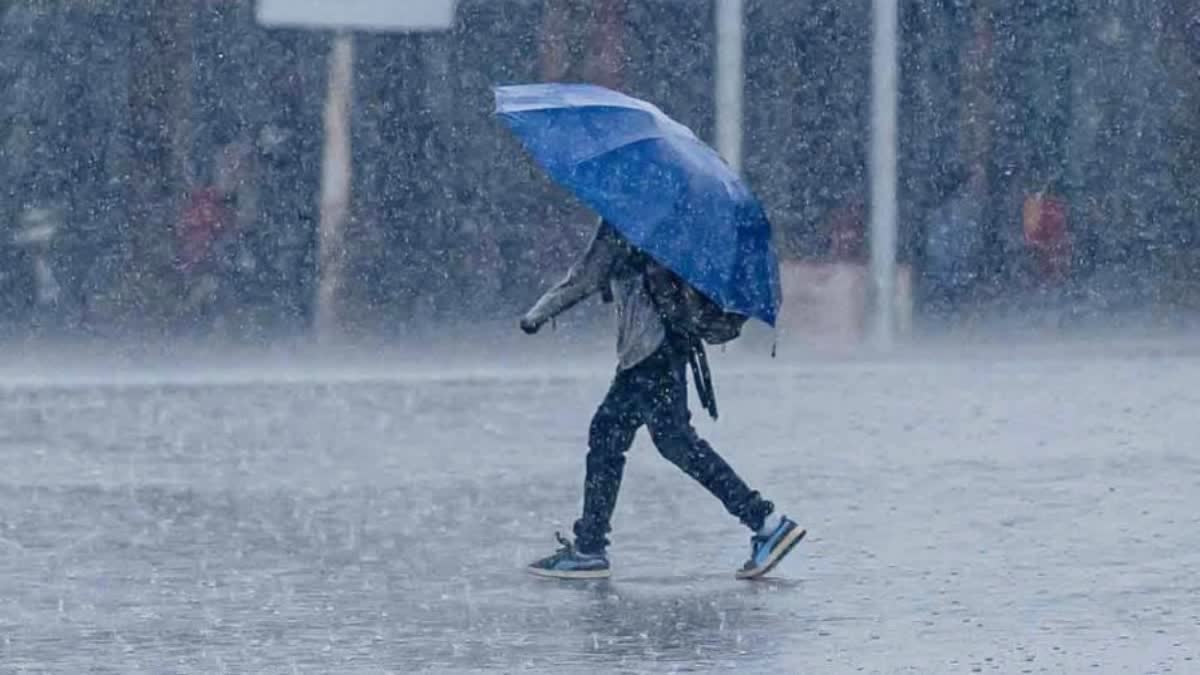 Kerala Rain Education Institution Holiday  Kerala Rain Updates  Education Institutions In Thiruvananthapuram  Which Districts Having Holiday Due To Rain  Kerala Weather Latest Update  ഇടതടവില്ലാതെ മഴ തുടരുന്നു  വിദ്യാഭ്യാസ സ്ഥാപനങ്ങള്‍ക്ക് അവധി  ആരാണ് തിരുവനന്തപുരം ജില്ല കലക്‌ടർ  മഴ കാരണം ഏതൊക്കെ ജില്ലകള്‍ക്കാണ് അവധി  കേരളത്തിലെ മഴ വിശദമായ വാര്‍ത്തകള്‍