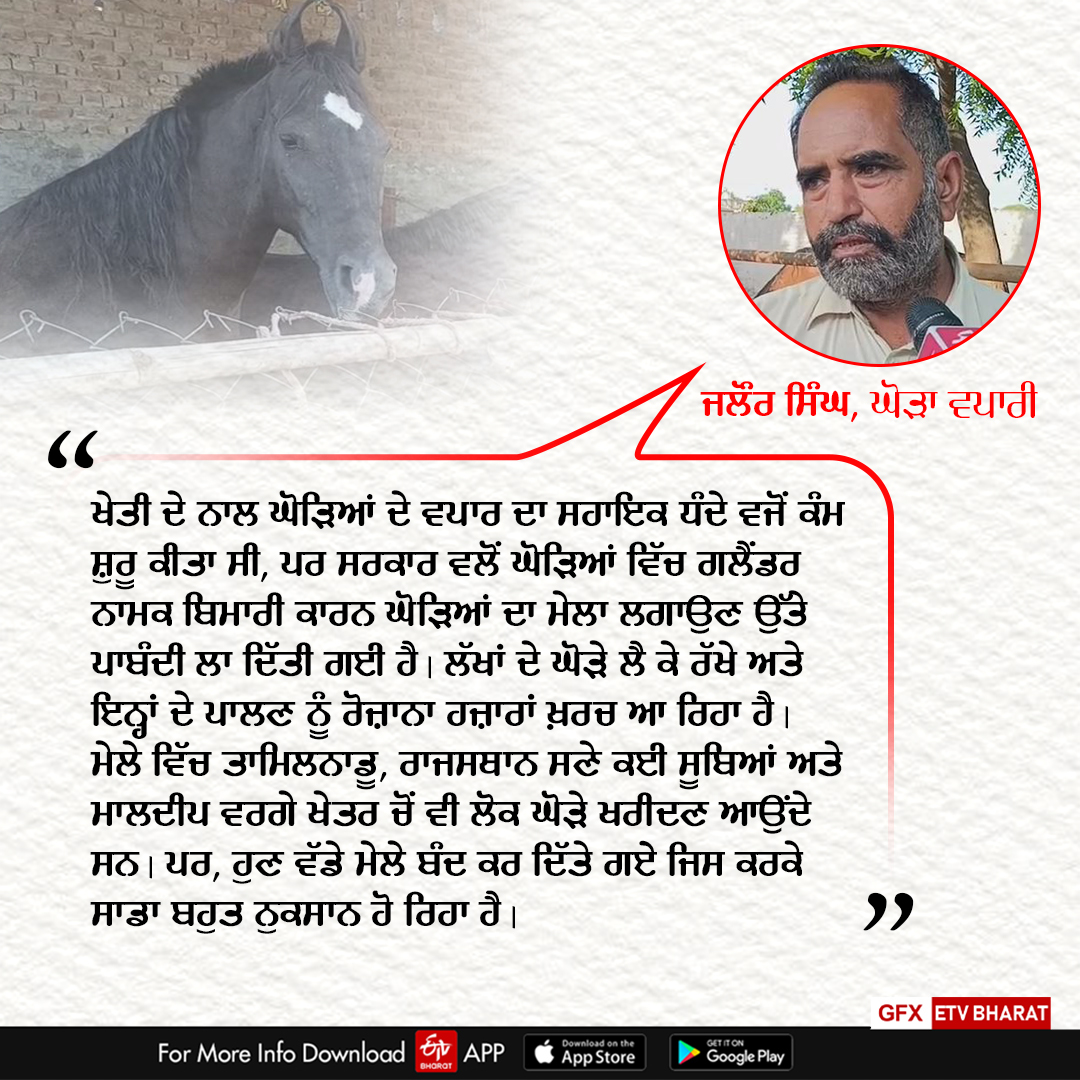 Stud Farming In Punjab, Glanders disease in horses, Bathinda