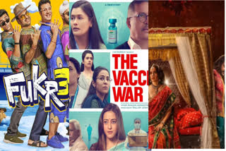 Fukrey 3, the vaccine war, chandramukhi 2 collection