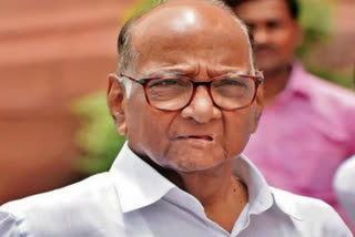 Sharad Pawar targeted the Shinde government, 24 deaths in 24 hours "Shows failure of govt systems"