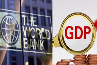 World Bank maintains Indias 2023-24 GDP growth at 6.3 pc
