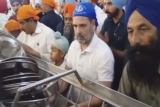 Congress leader Rahul Gandhi offers Sewa Golden Temple in Punjabs Amritsar second day