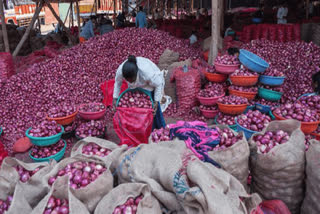 After 13 days strike, onion auctions resume in Nashik wholesale markets