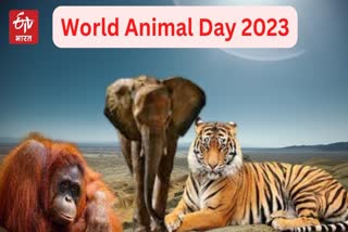 World Animal Day