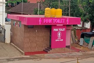 pink toilet