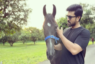 Say hi to Blaze - Ram Charan introduces his new friend in latest pictures