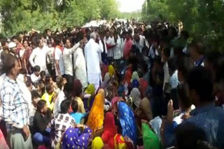 Shepherd mauled to death by tiger in Rajasthan; villagers staged protest