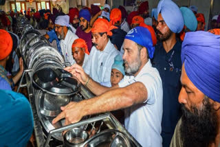 Rahul offers 'sewa' at community kitchen of Golden Temple