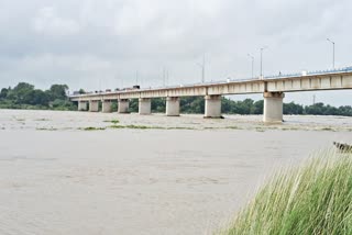 ক্ষোভে যেন ফুঁসছে দামোদর