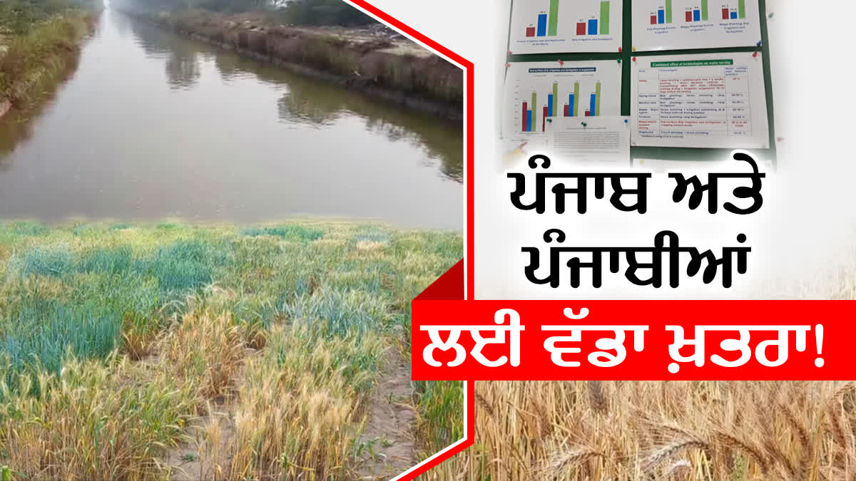 BANNING PADDY CULTIVATION