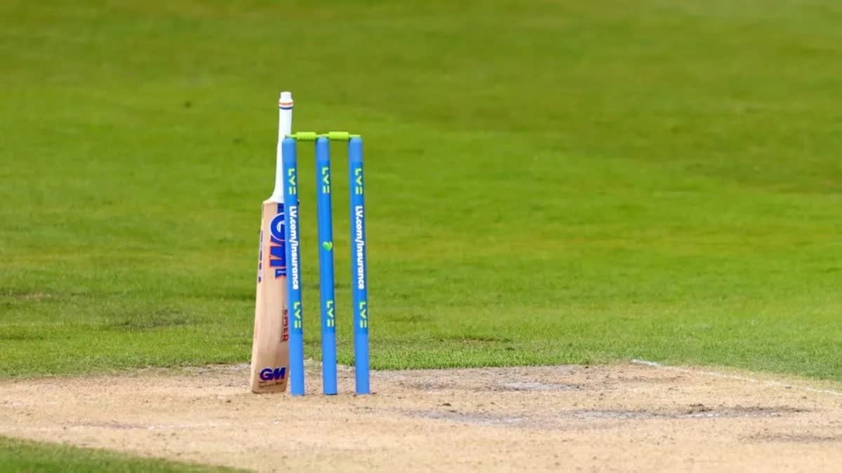 Cricket bat and stump (representative photo)