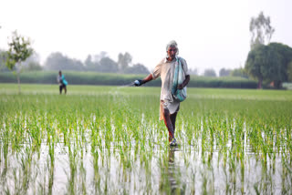 પીએમ કિસાન સન્માન નિધિ યોજના