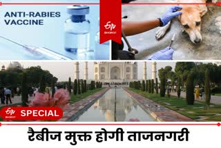 Rabies Vaccination in Agra.