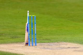 Cricket bat and stump (representative photo)