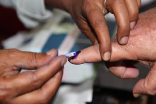 Panchayat urban body elections likely in J and K before year end