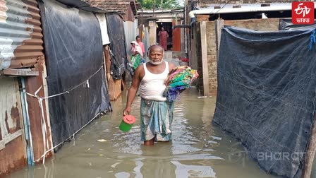 Malda Flood Situation