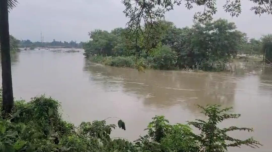 Saura river in spate in flood-hit Bihar