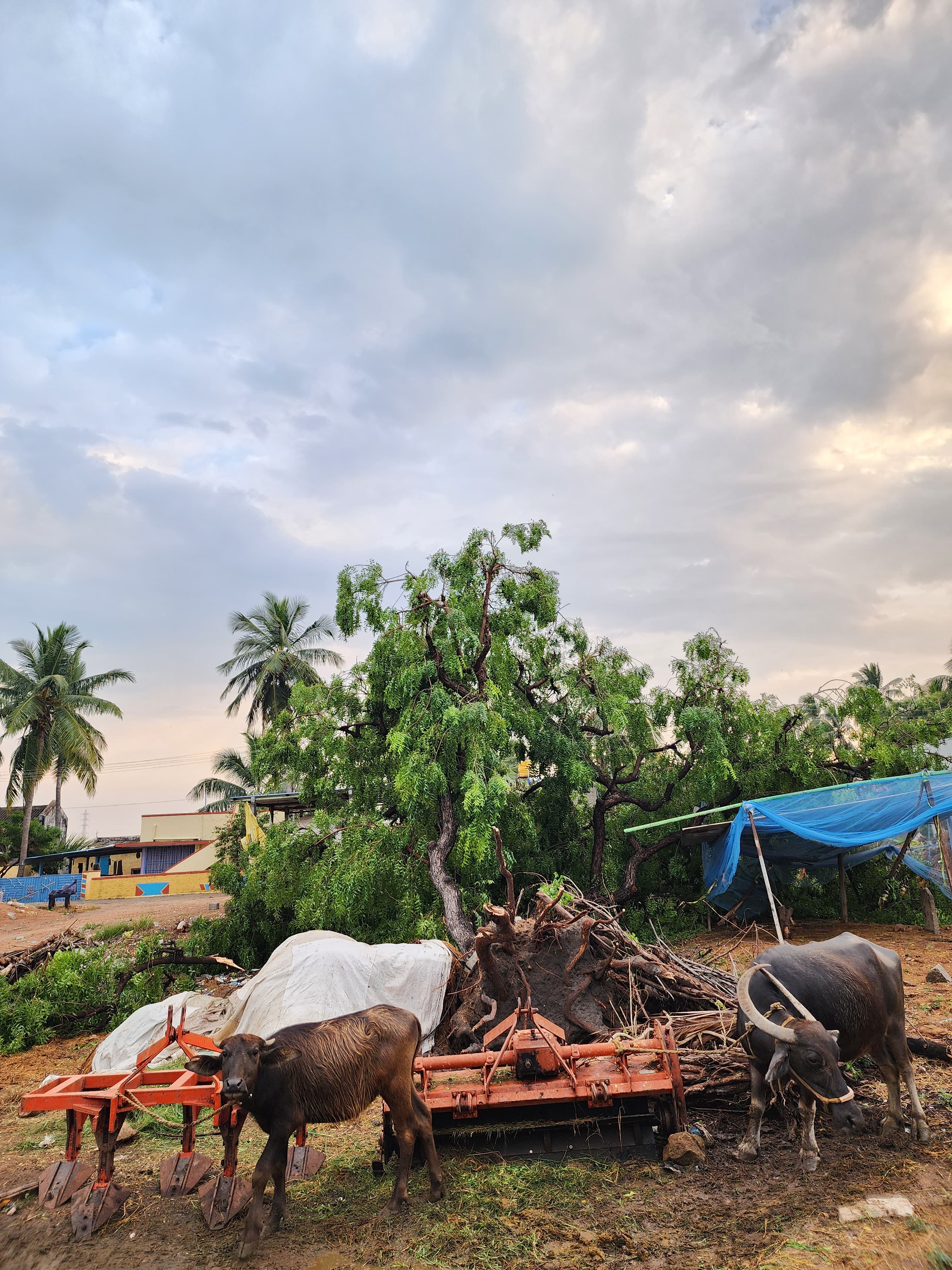 Heavy Rains In Gangavathi, Huge Damage