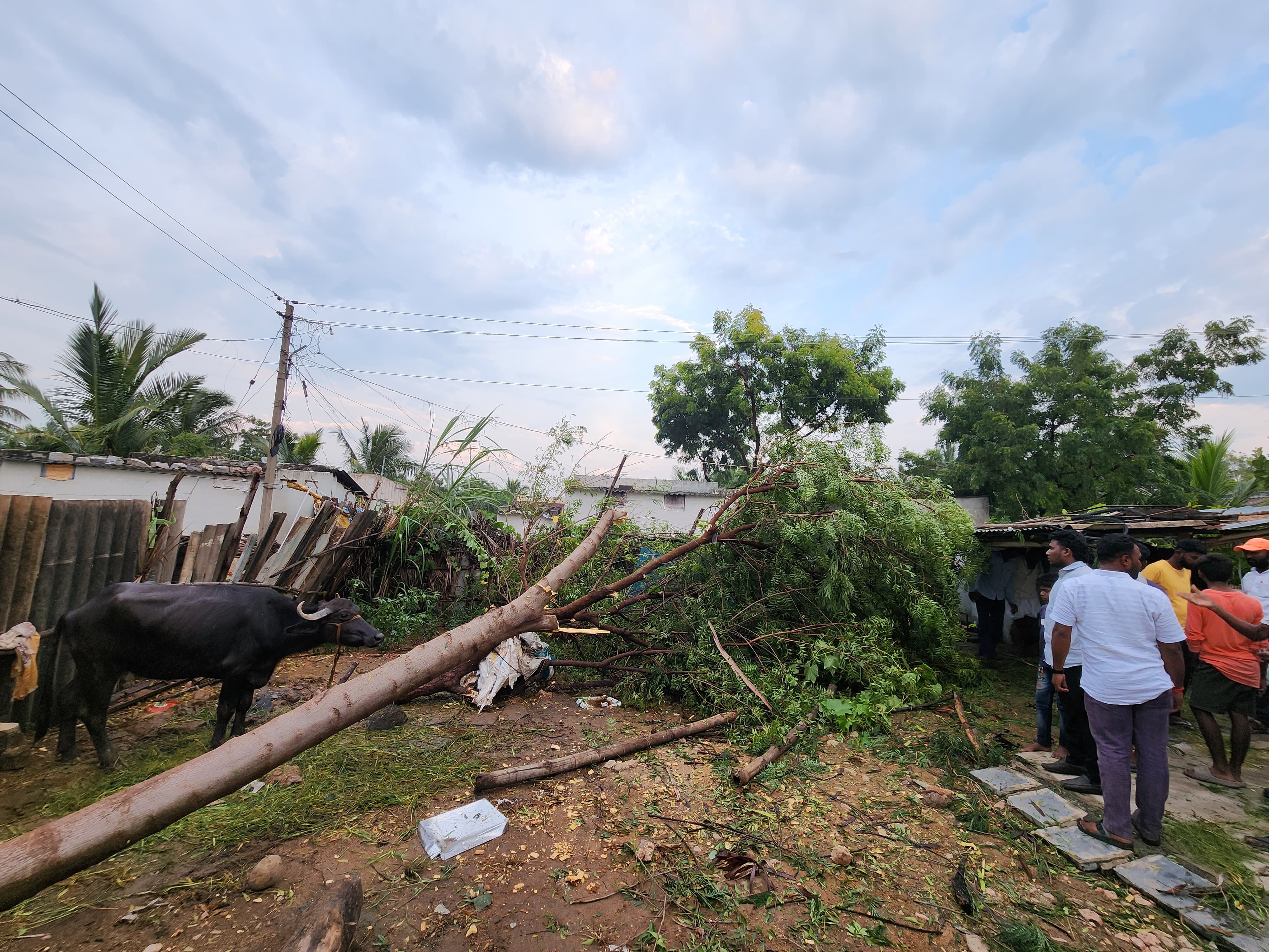 Heavy Rains In Gangavathi, Huge Damage