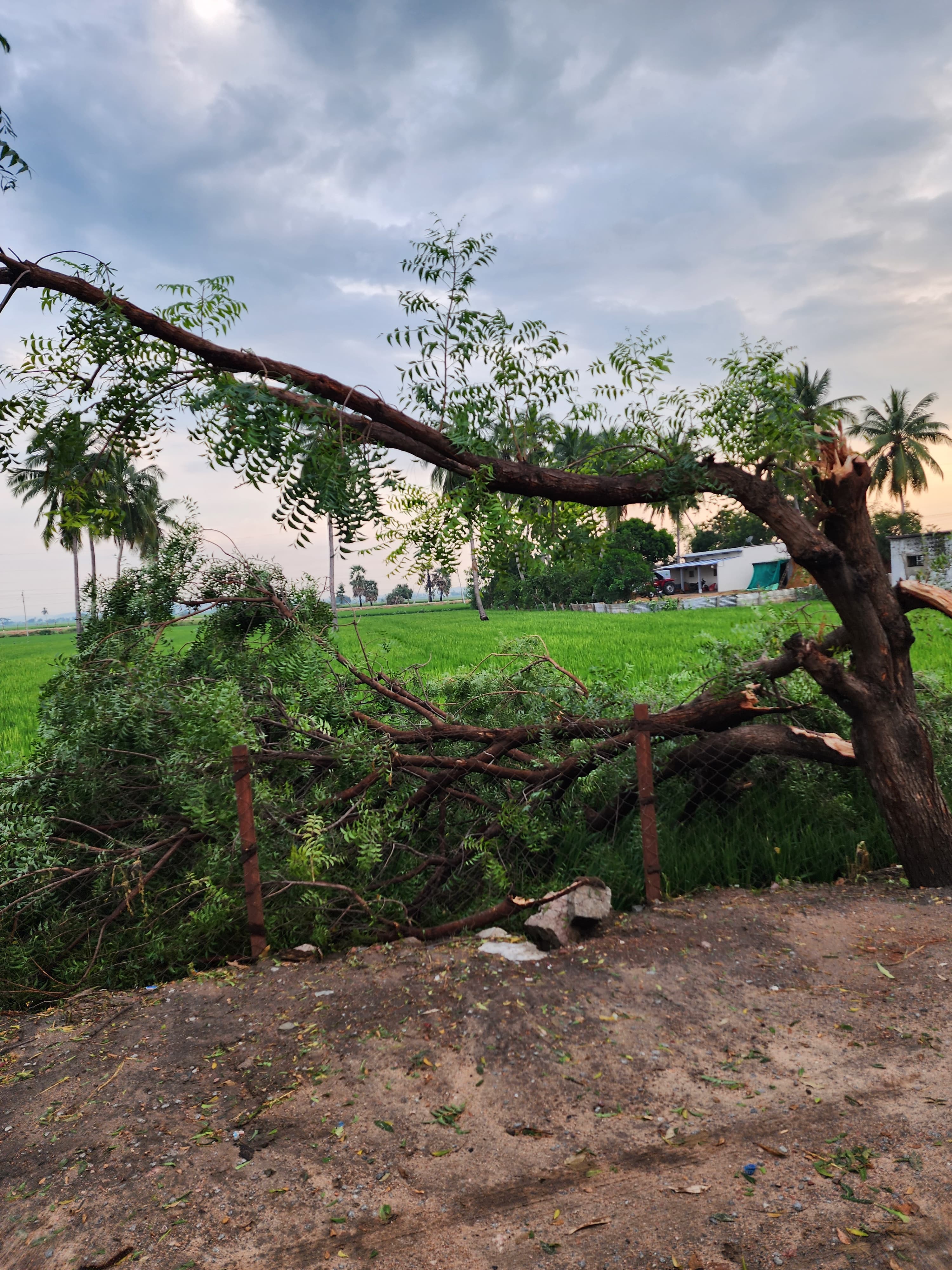 Heavy Rains In Gangavathi, Huge Damage